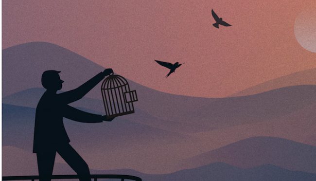 Reclaim your Freedom Program